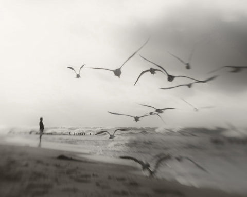 Quiet Dreams