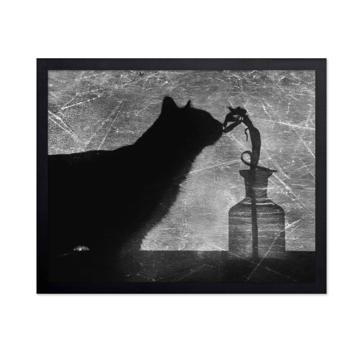 Shadow Cat