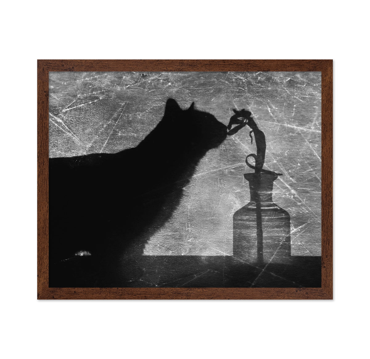 Shadow Cat