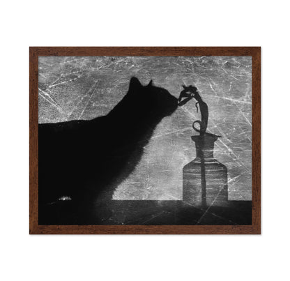 Shadow Cat