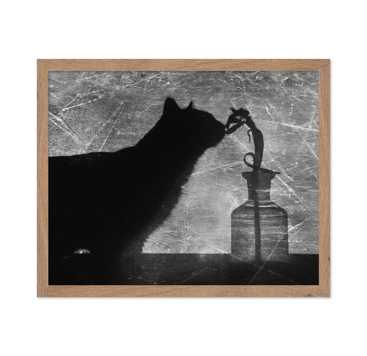 Shadow Cat
