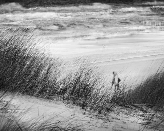 Beach Scene