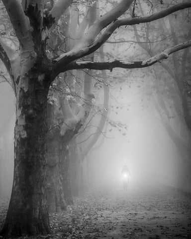 The Foggy Path