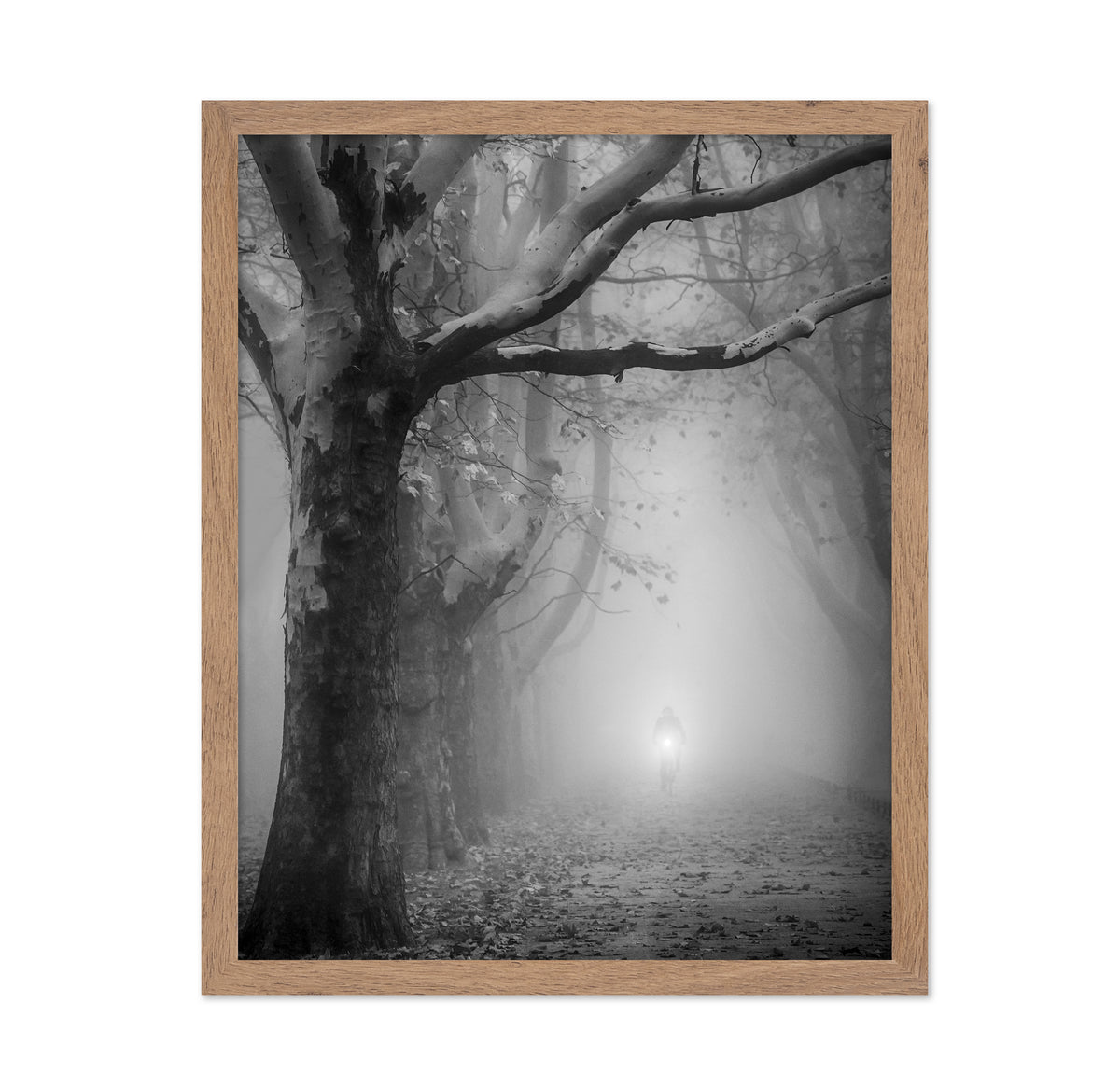 The Foggy Path