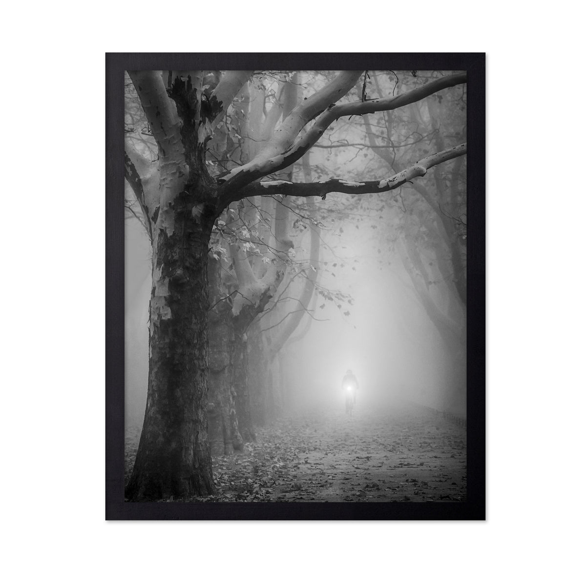 The Foggy Path