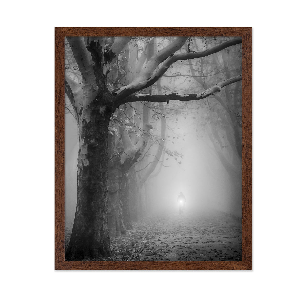 The Foggy Path