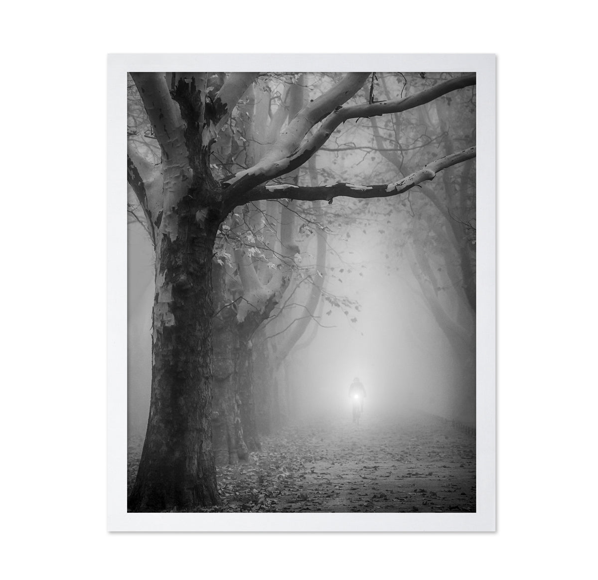 The Foggy Path