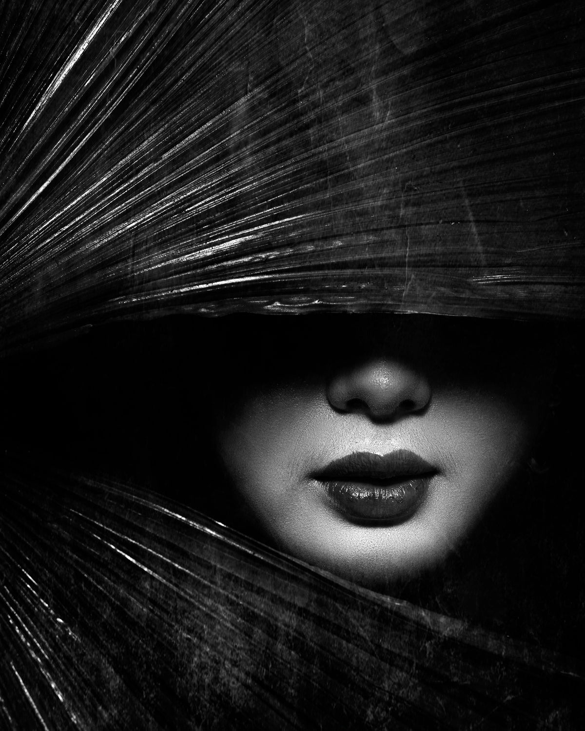 Mysterious Lady