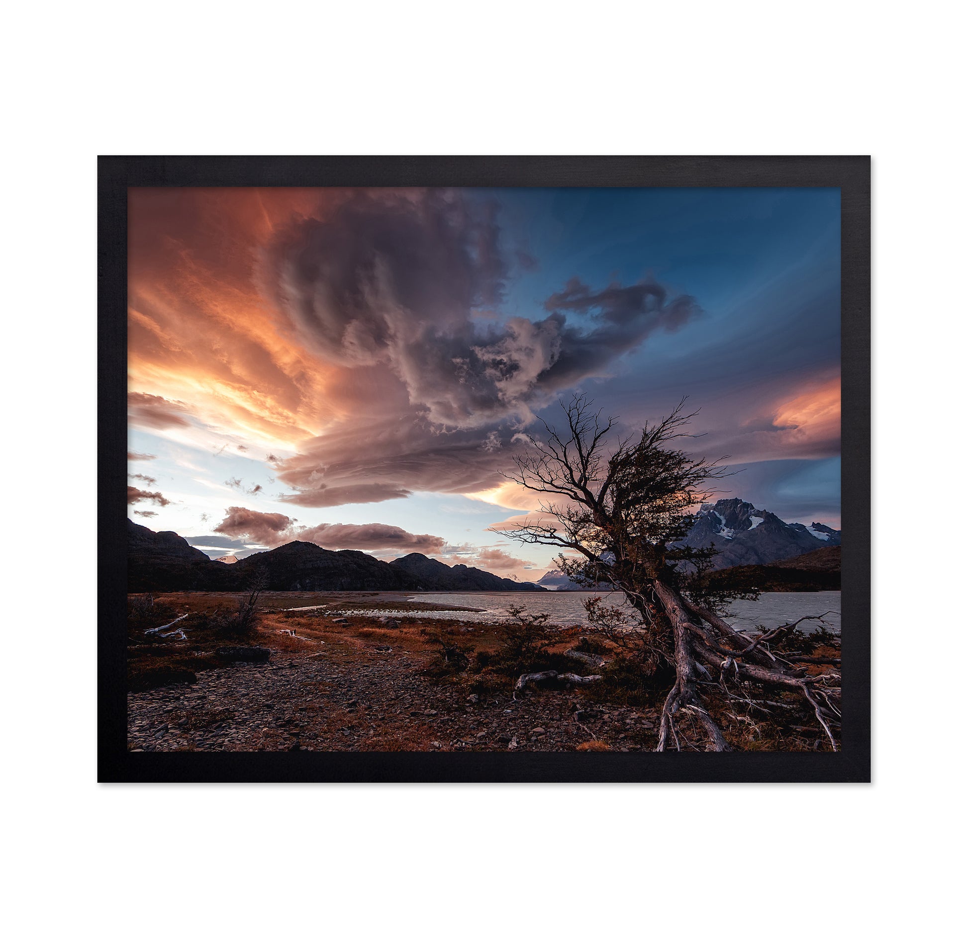 Audience of One
