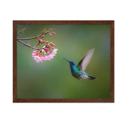Flying Hummingbird
