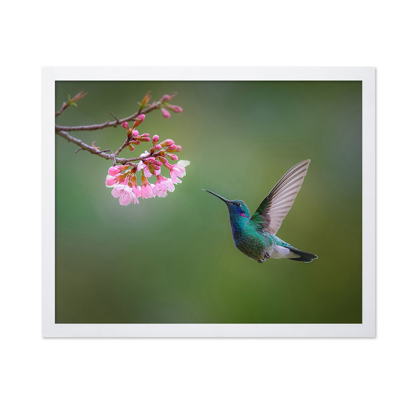 Flying Hummingbird