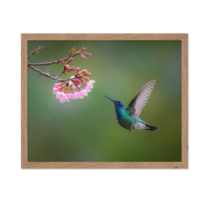 Flying Hummingbird