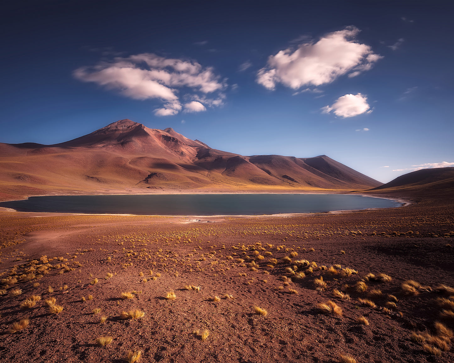 Laguna Miscanti