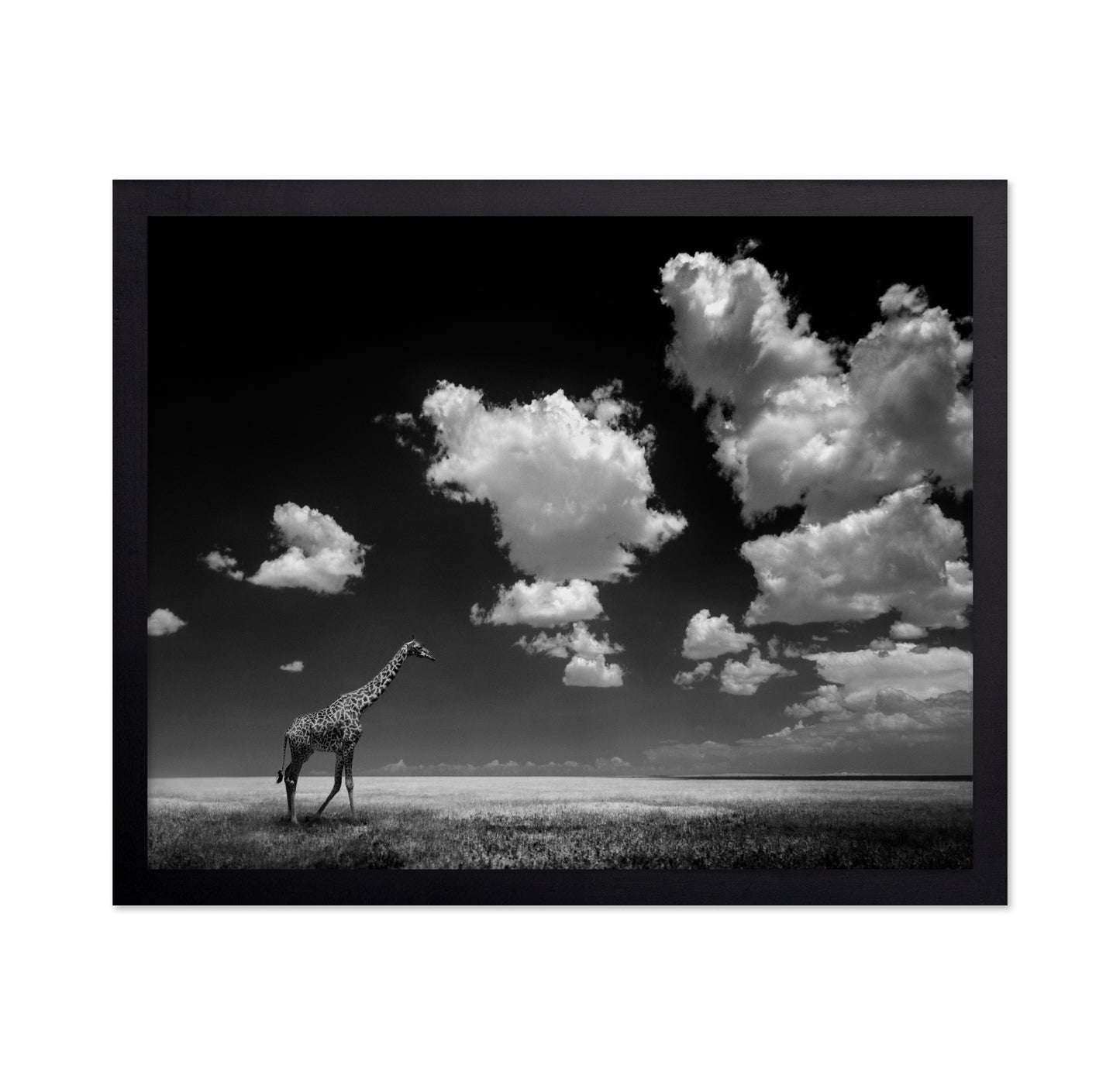 Gone with the Clouds