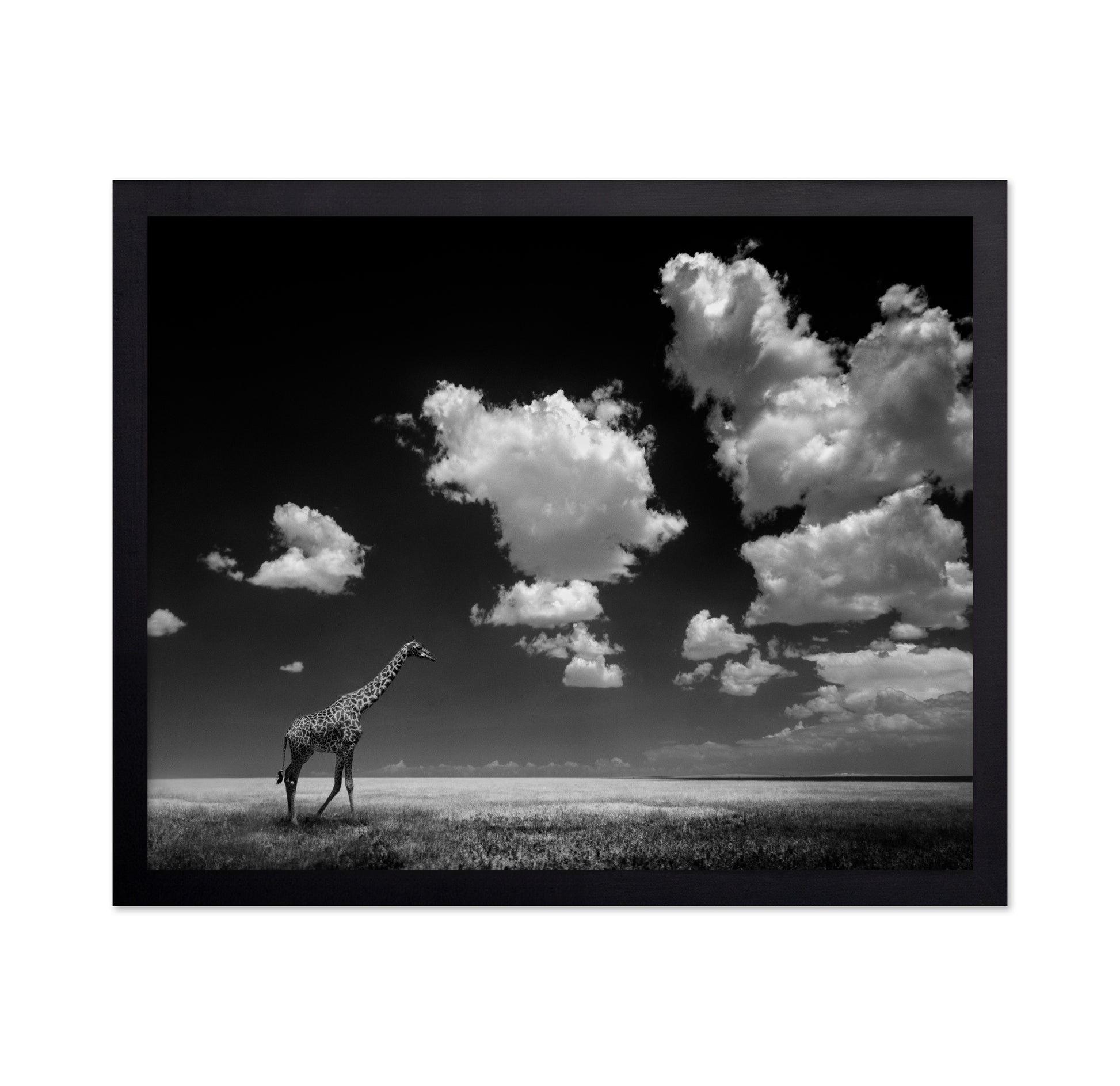 Gone with the Clouds