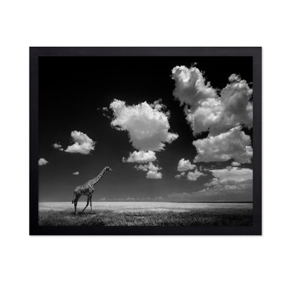 Gone with the Clouds