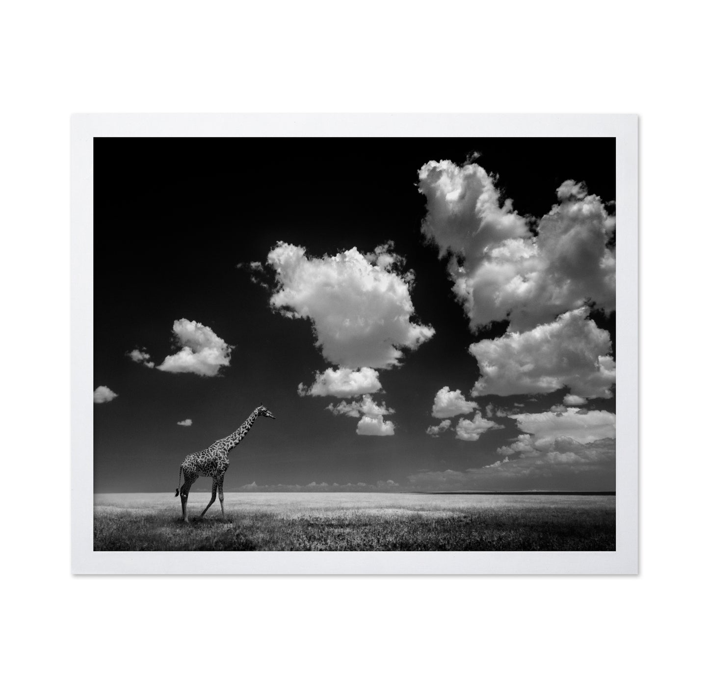 Gone with the Clouds