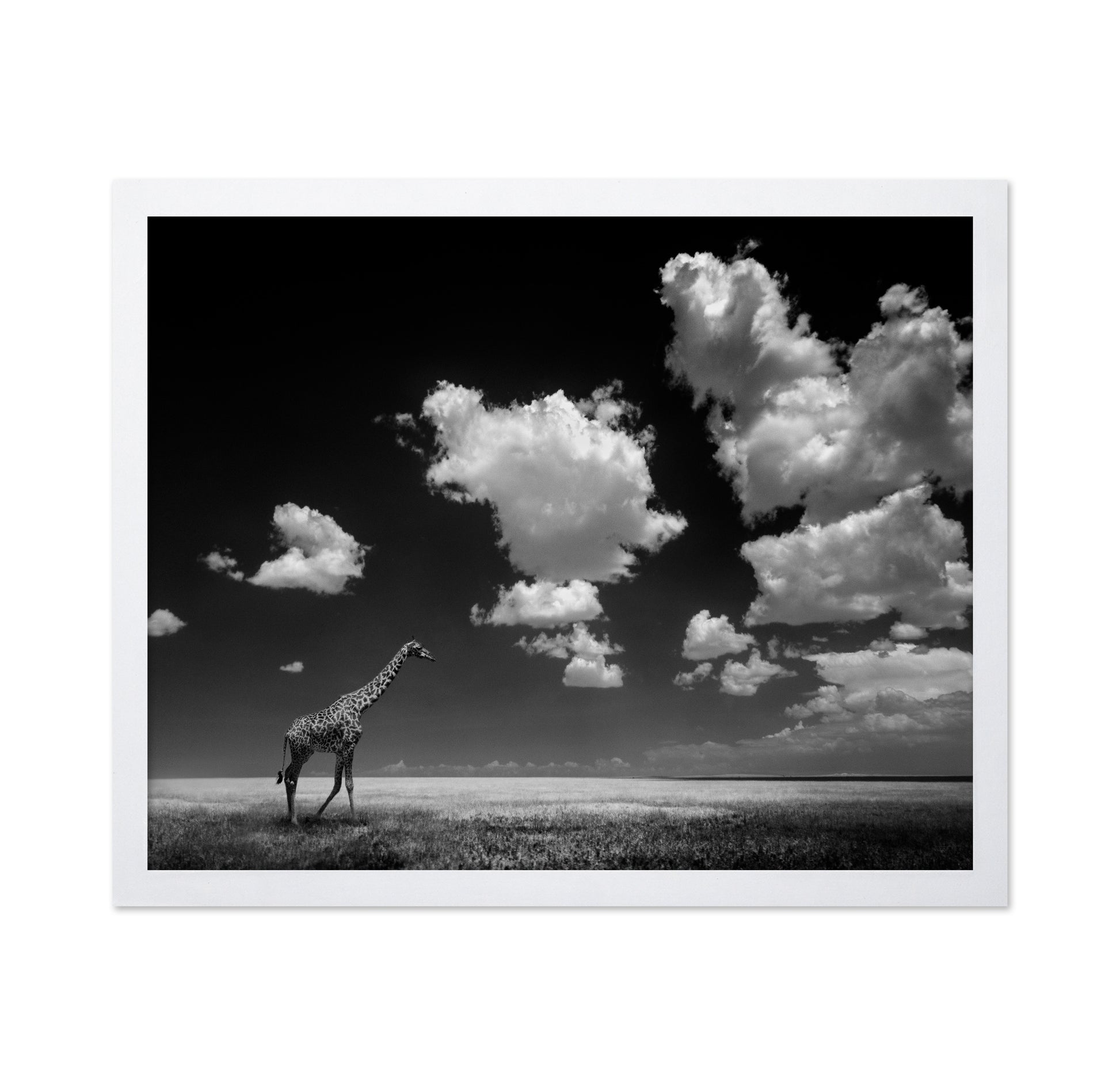 Gone with the Clouds