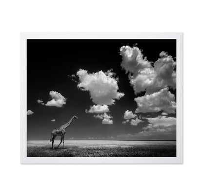Gone with the Clouds