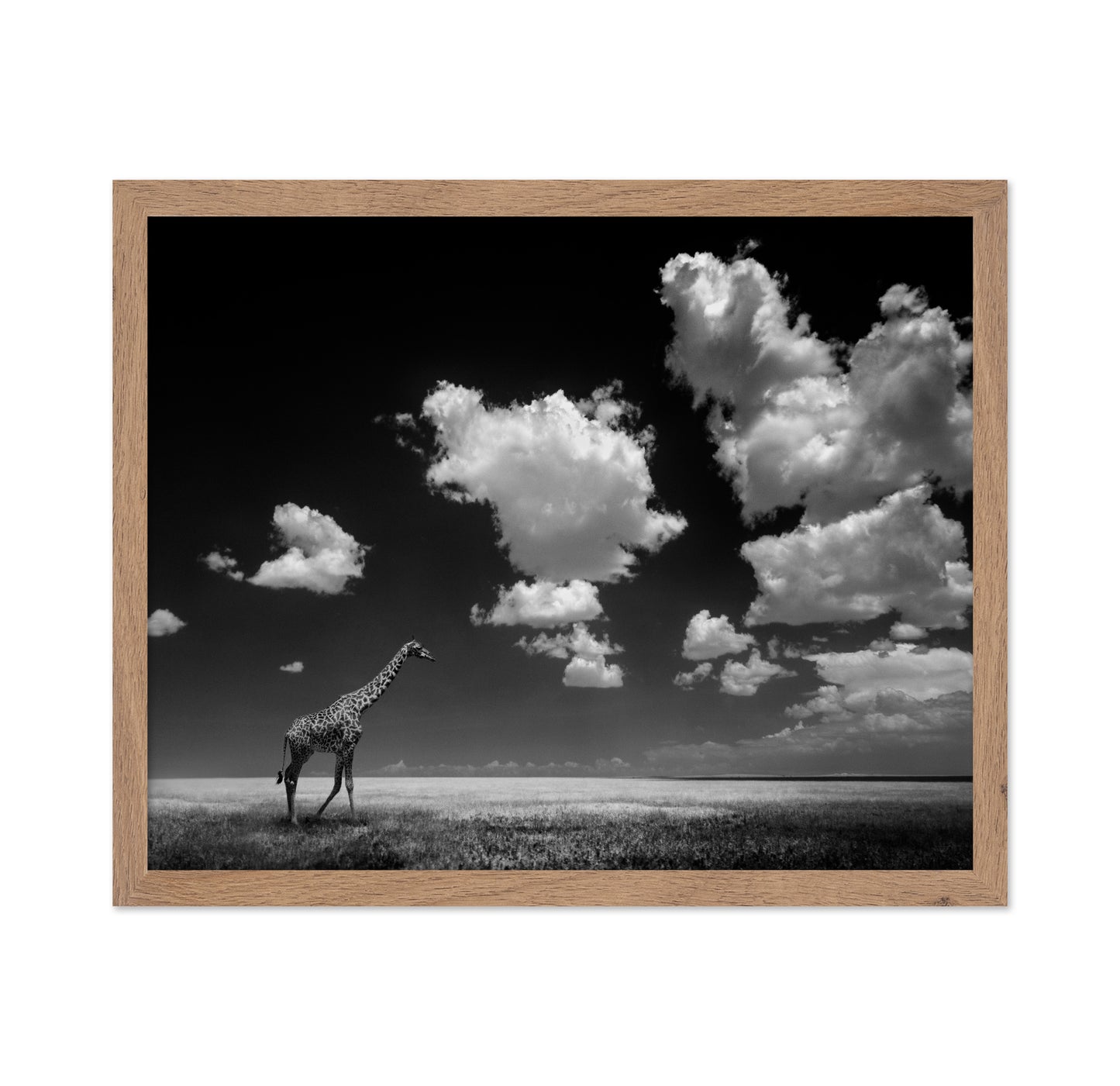 Gone with the Clouds