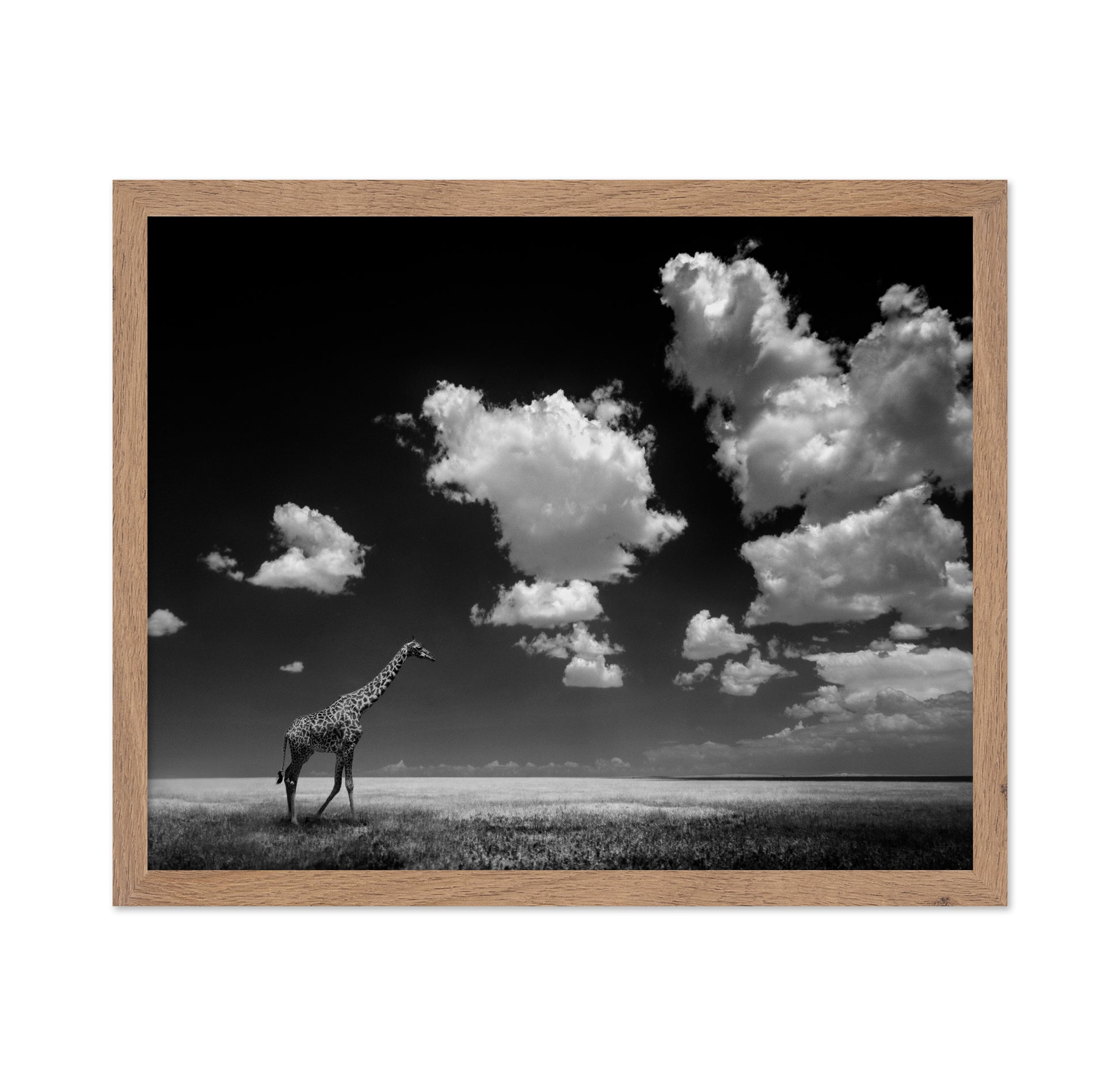 Gone with the Clouds