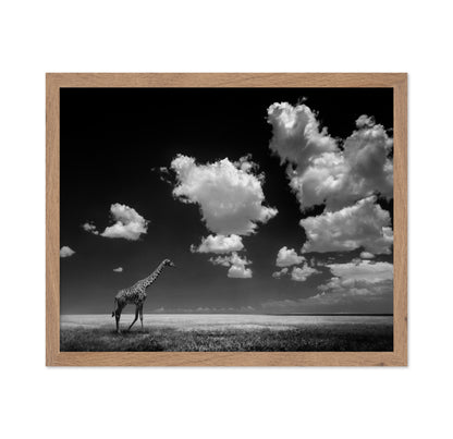 Gone with the Clouds