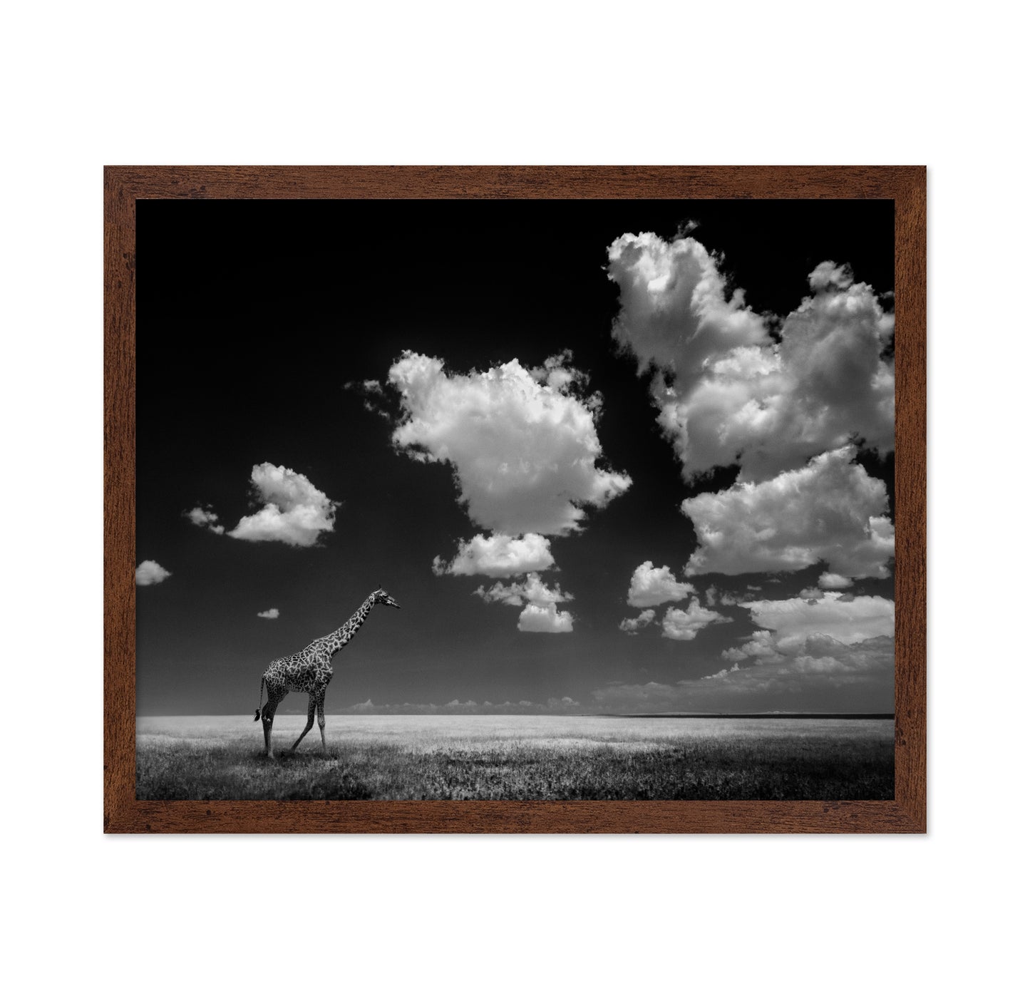 Gone with the Clouds