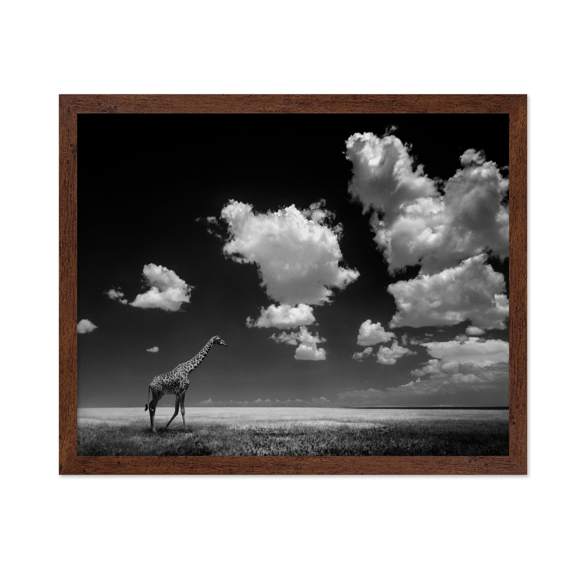 Gone with the Clouds