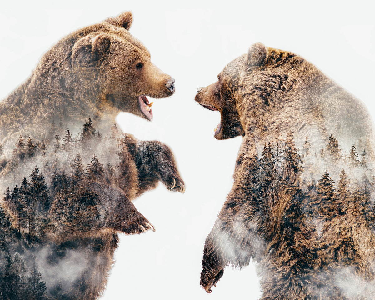 Wild Conflicts