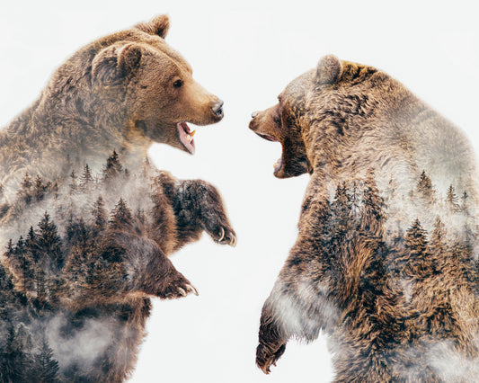 Wild Conflicts
