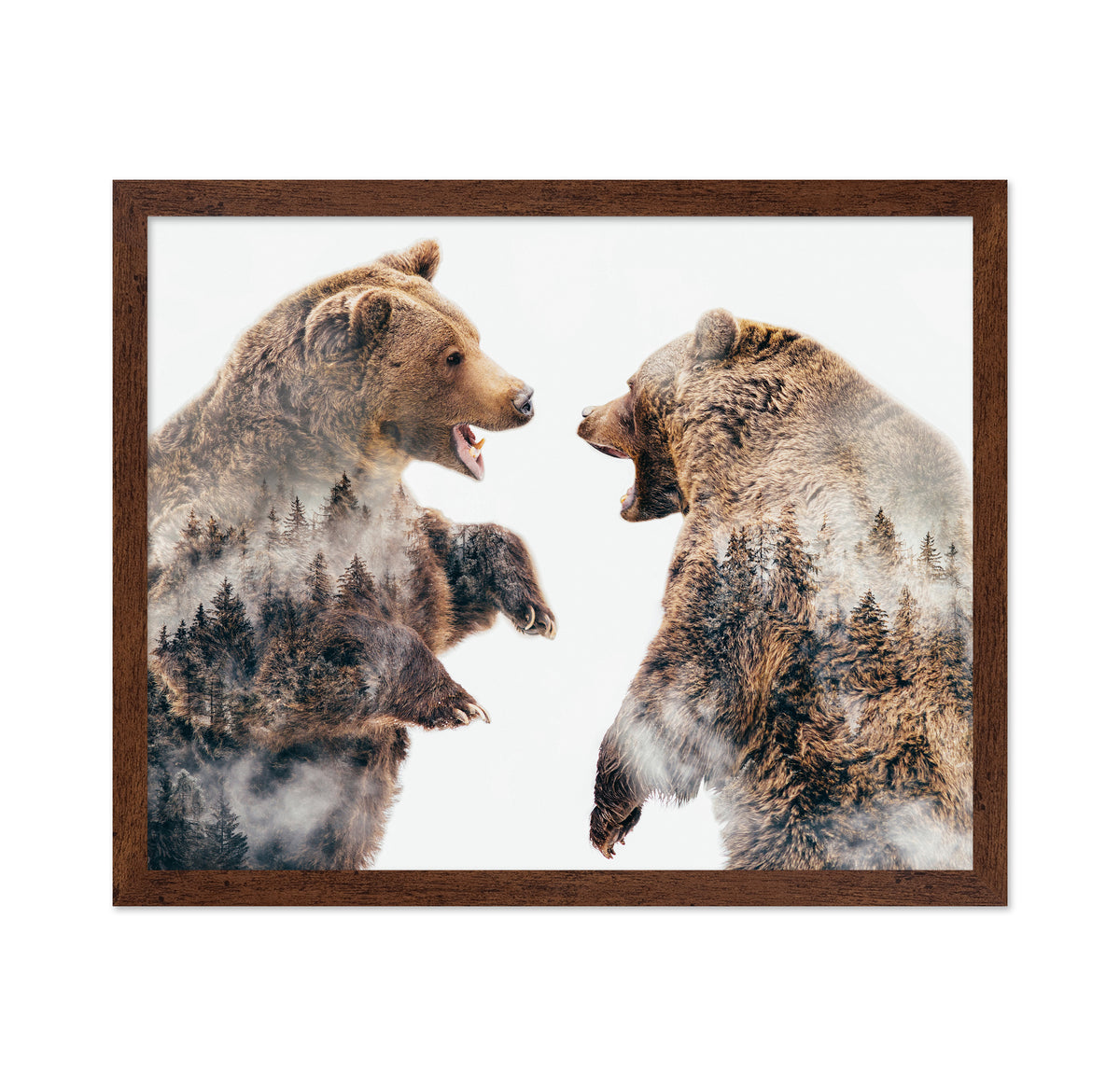 Wild Conflicts