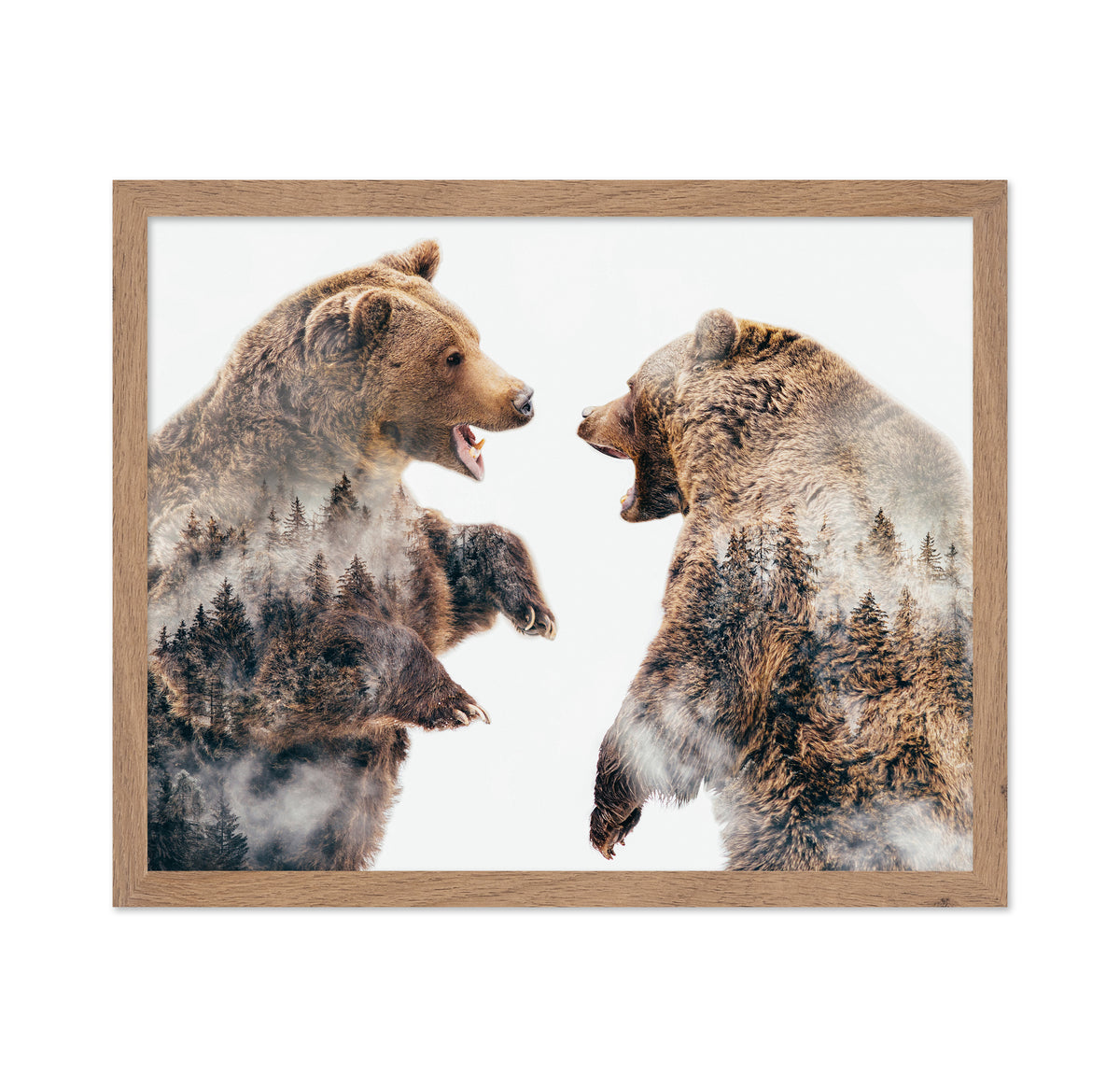 Wild Conflicts