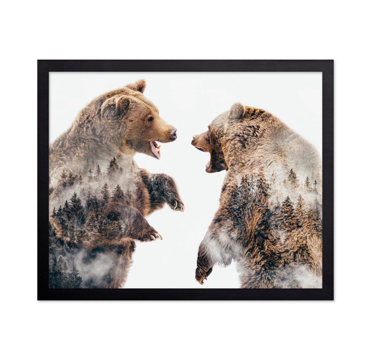 Wild Conflicts