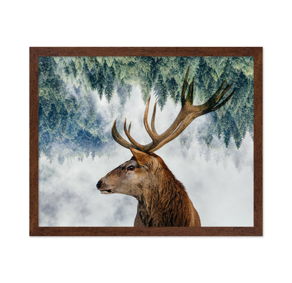 The Deer and the Woods