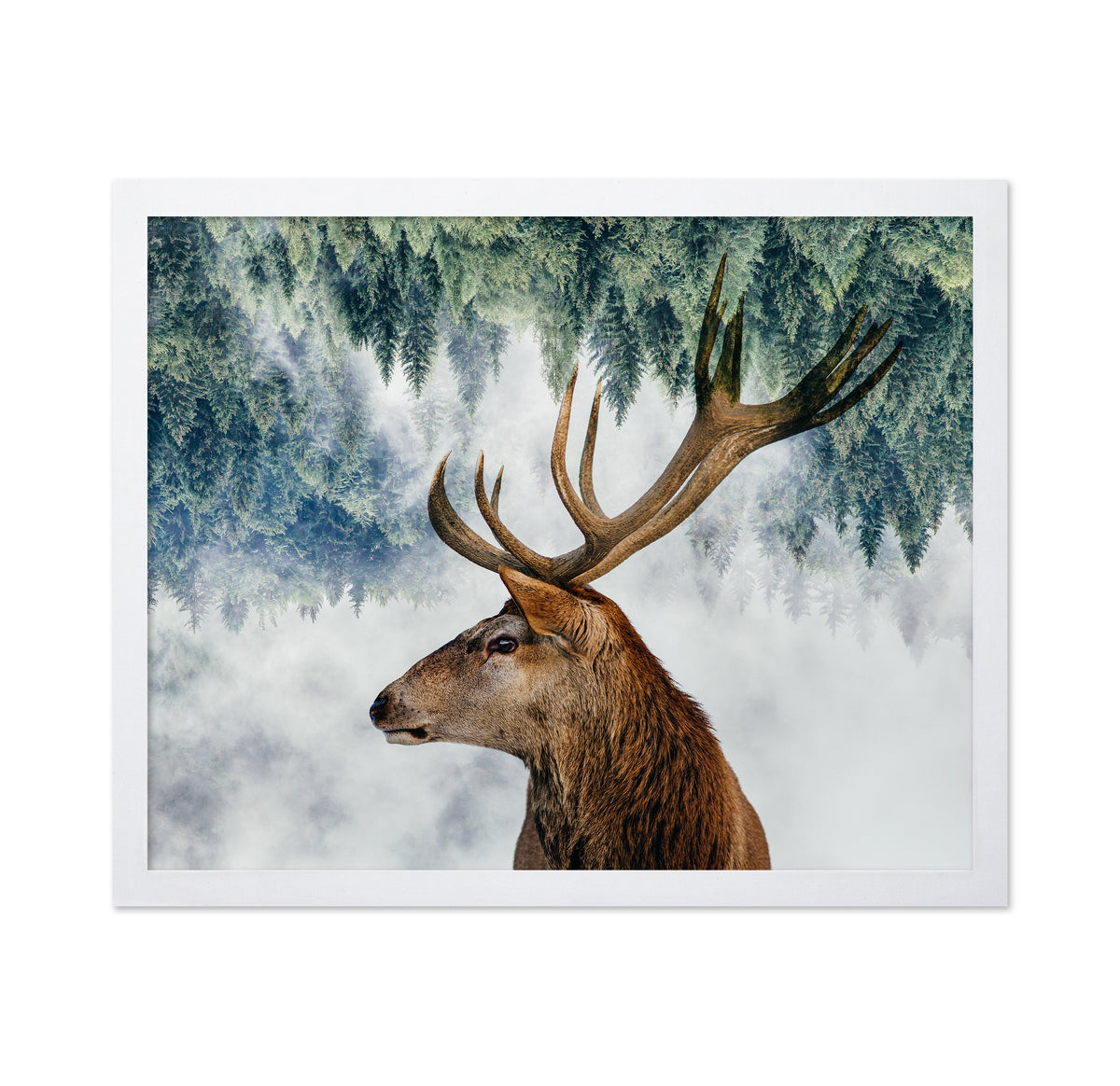 The Deer and the Woods