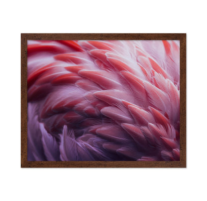 Flamingo's Plumage