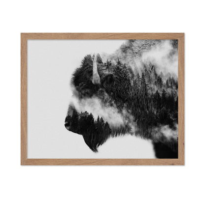 Bison