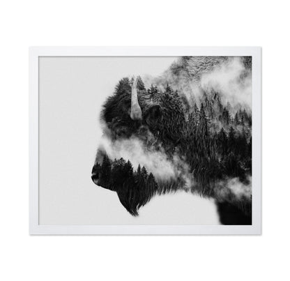 Bison