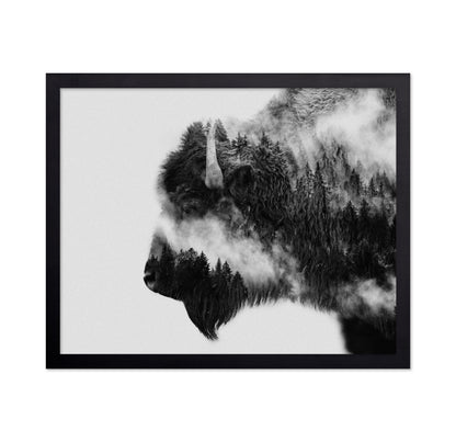 Bison