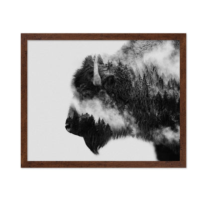 Bison