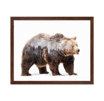 Brown Bear Double Exposure