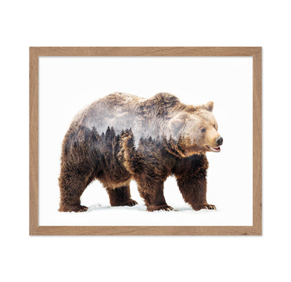 Brown Bear Double Exposure