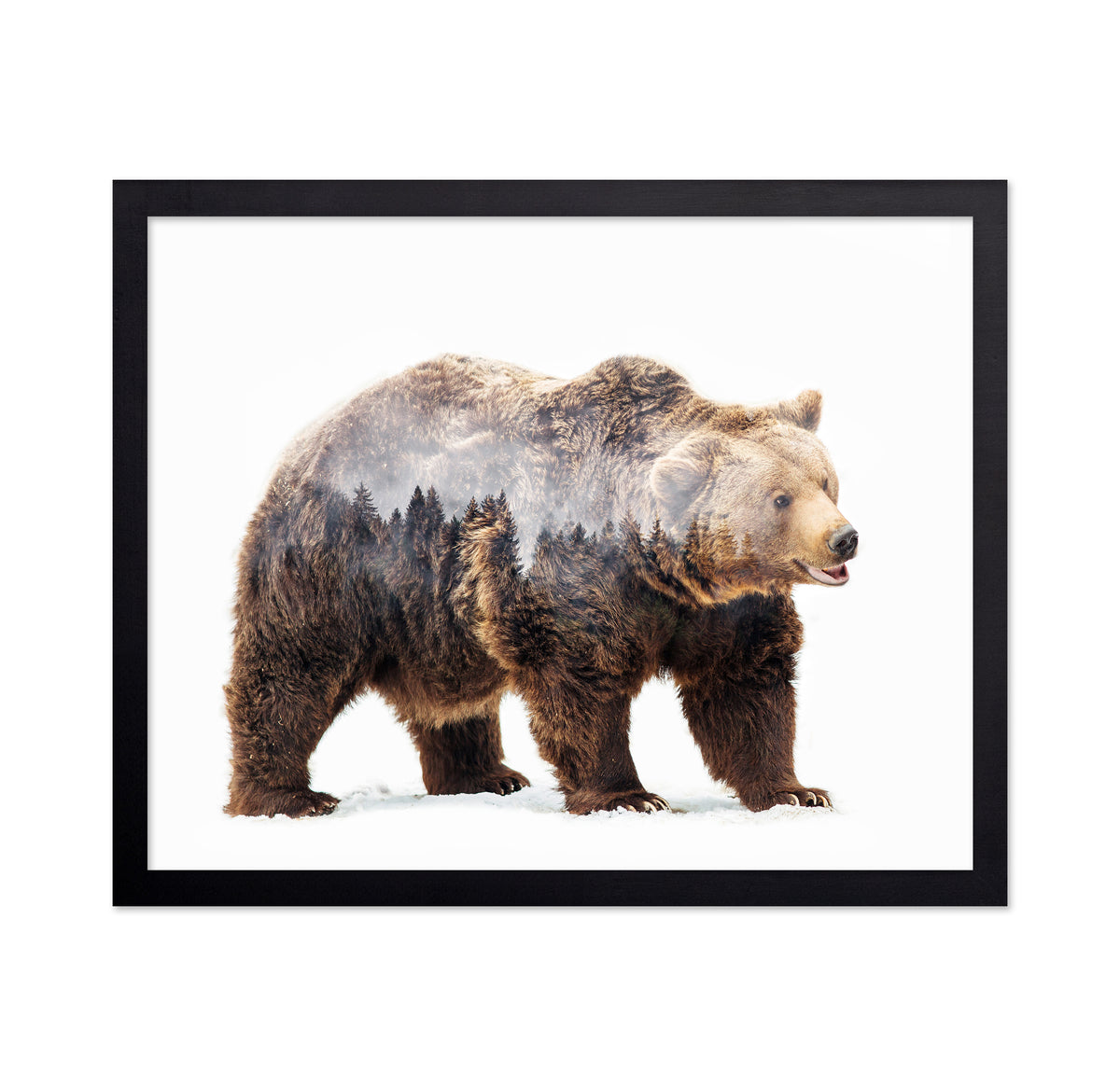 Brown Bear Double Exposure
