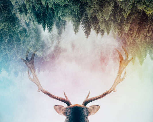 Antler