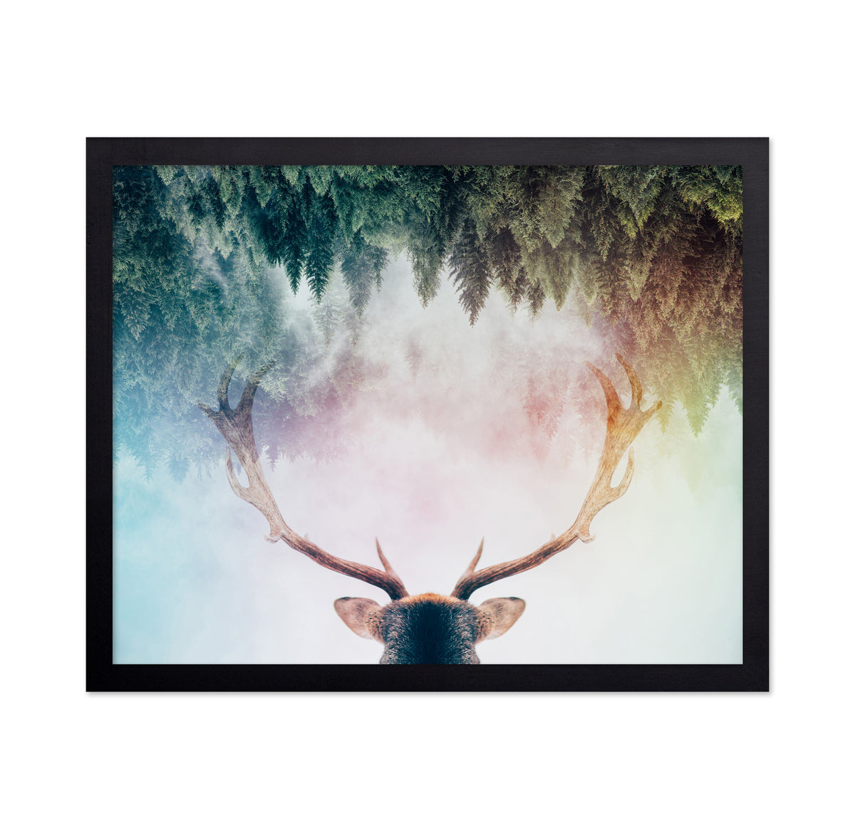 Antler
