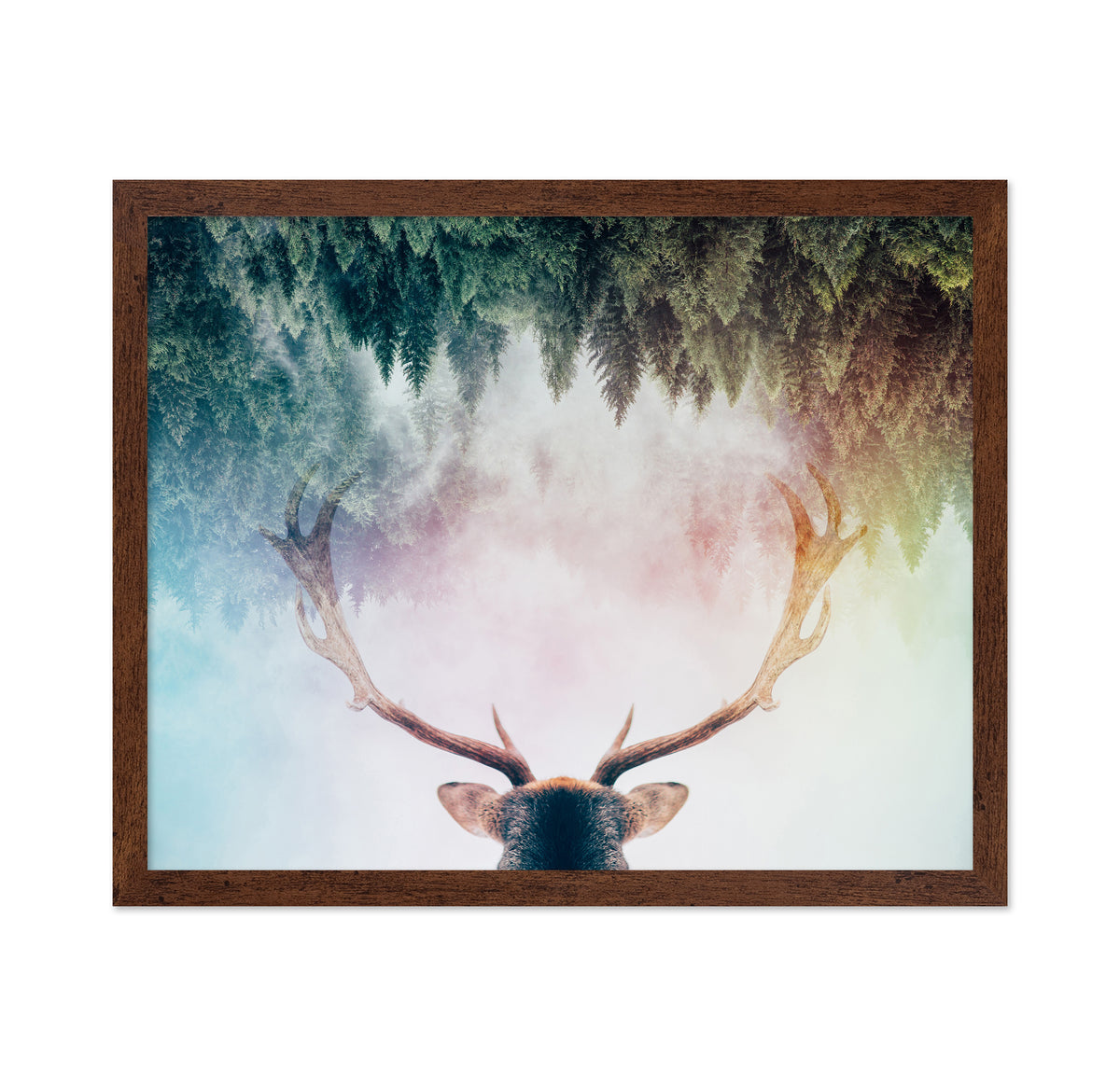 Antler
