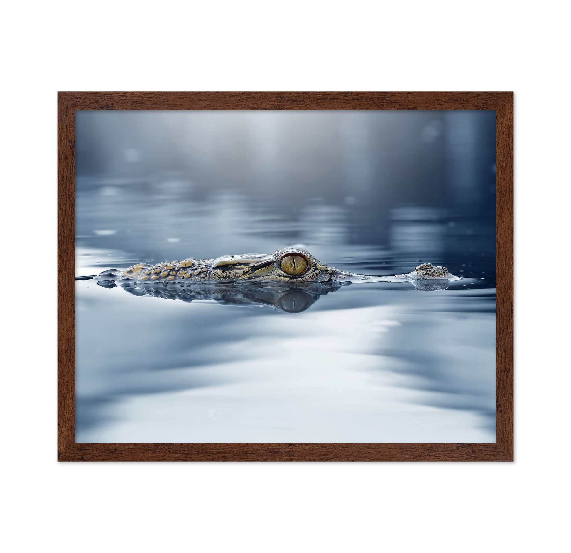 Crocodile - The Eye
