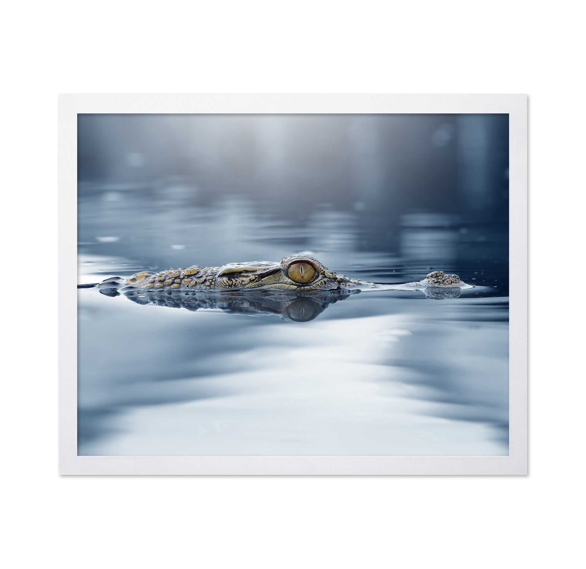 Crocodile - The Eye