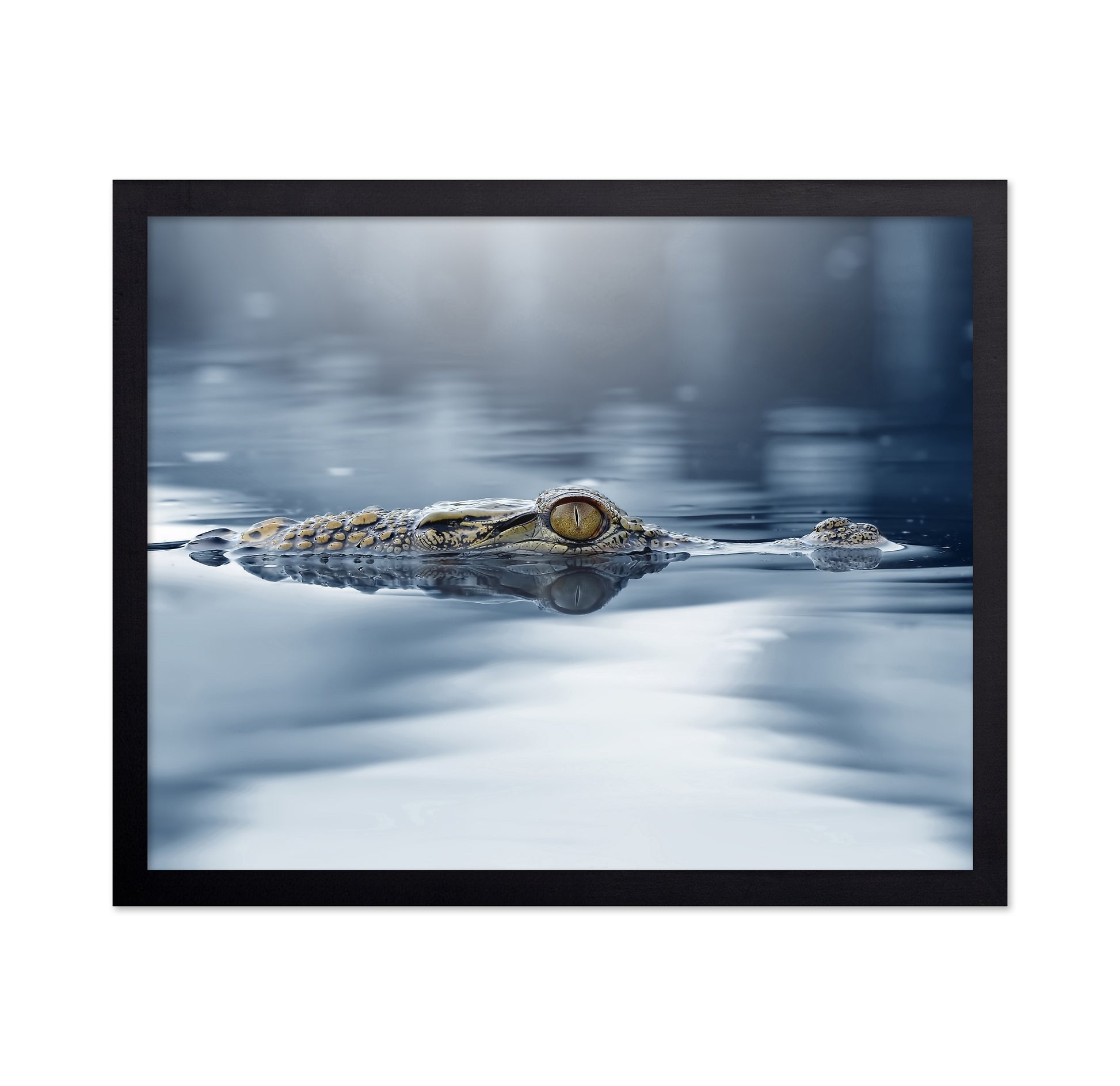 Crocodile - The Eye