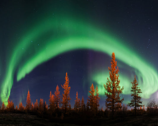 Northern Lights